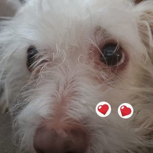 Meet your Posher, Gabby